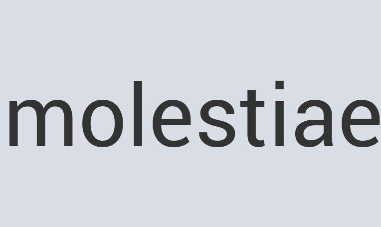 Aerodynamic Wool Netstalgia