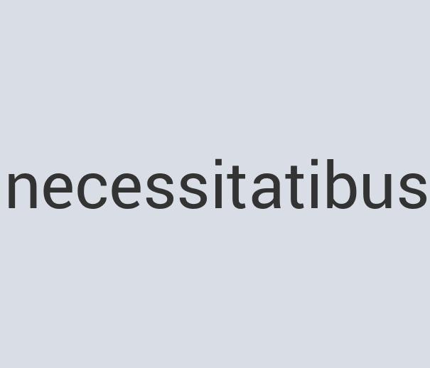 Aerodynamic Wool Netstalgia