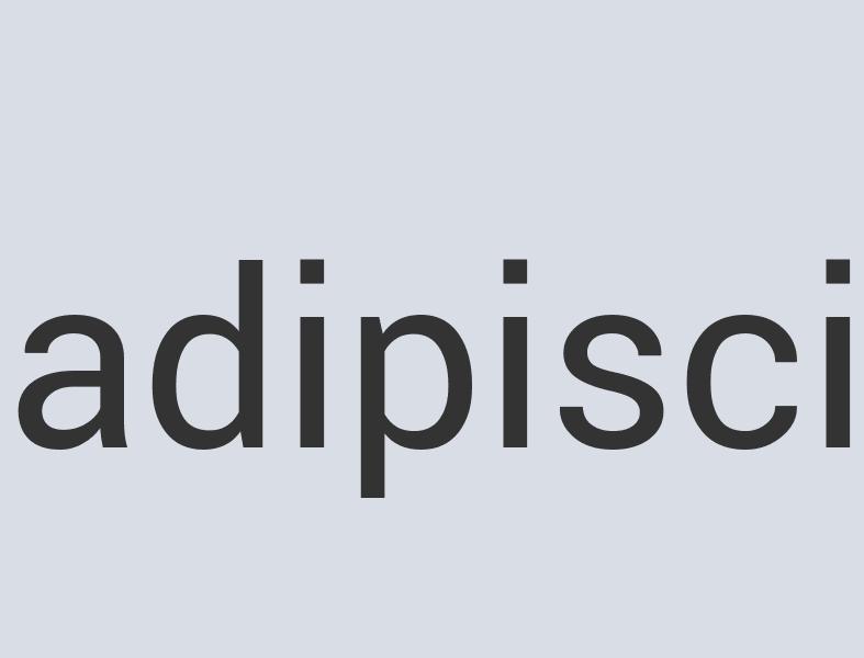 Durable Bronze The Circus