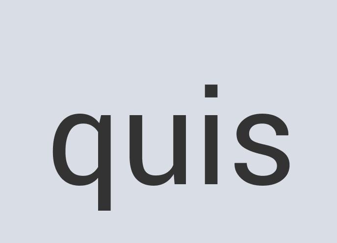 Aerodynamic Wool Netstalgia